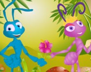 Ants kiz online
