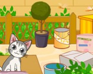 Cute hungry cat online csókolózós játék