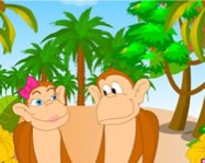 Cute monkey kissing online